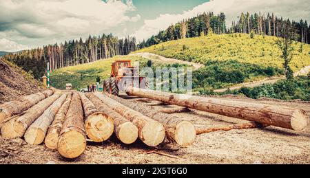 Radlader, Holzgreifer. Forstwirtschaftliche Traktoren, Lkws und Holzfäller Maschinen. Fällen von Bäumen, Fällen von Bäumen. Fällen von Bäumen, Fällen von Bäumen, Wald Stockfoto