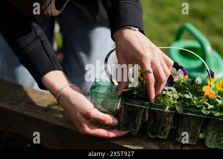 Frau kümmert sich um Blumen im Garten, Nahaufnahme Stockfoto