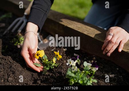 Frau kümmert sich um Blumen im Garten, Nahaufnahme Stockfoto