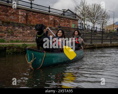 Frauen und Hunde Kanufahren im Kanal Stockfoto