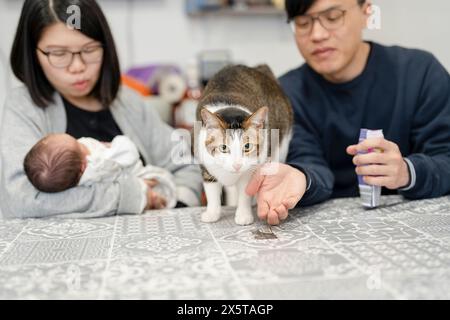 Eltern mit neugeborener Tochter (0-1 Monate) und einer Katze zu Hause Stockfoto