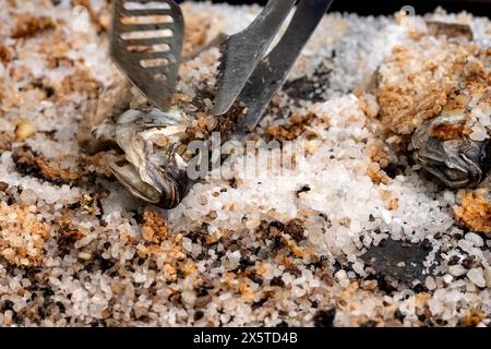 Braten von Tilapia-ganzen Fischen in grobem Meersalz. Catering für ein Partykonzept. Stockfoto