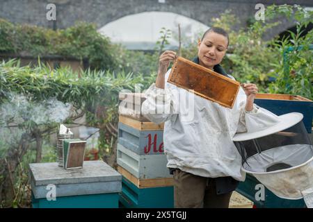 Weibliche Imkerei, die einen Rahmen aus dem Bienenstock im städtischen Garten hält Stockfoto