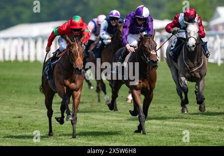 Ascot, Vereinigtes Königreich , Samstag, 11. Mai 2024. Xanthe und Pat Dobbs gewinnen die Peroni Nastro Azzurro 0,0% Einsteiger für Trainer Richard Hannon und Besitzerin Mrs. J. Wood. Credit JTW equine Images / Alamy Live News Stockfoto