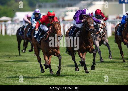 Ascot, Vereinigtes Königreich , Samstag, 11. Mai 2024. Xanthe und Pat Dobbs gewinnen die Peroni Nastro Azzurro 0,0% Einsteiger für Trainer Richard Hannon und Besitzerin Mrs. J. Wood. Credit JTW equine Images / Alamy Live News Stockfoto