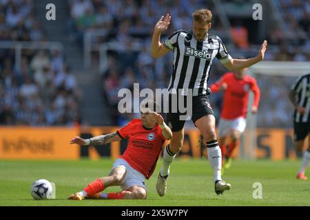 St. James's Park, Newcastle am Samstag, den 11. Mai 2024. Dan Burn von Newcastle United und Julio Enciso von Brighton & Hove Albion während des Premier League-Spiels zwischen Newcastle United und Brighton und Hove Albion im St. James's Park, Newcastle am Samstag, den 11. Mai 2024. (Foto: Scott Llewellyn | MI News) Credit: MI News & Sport /Alamy Live News Stockfoto