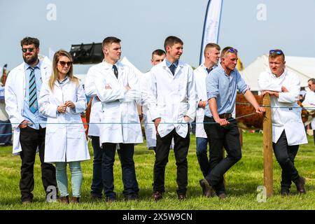 Ayr, Großbritannien. Mai 2024. Tausende von Zuschauern und Besuchern besuchten die 179. Jährliche Ayr County Show an einem warmen und sonnigen Maitag. Die Show, eine der größten Landwirtschafts- und Landwirtschaftsmesse in Schottland, hatte Ausstellungen und Wettbewerbe zu allen Aspekten der Berühmtheit und des Landlebens, einschließlich der Beurteilung von Rindern und Schafen, Pferdegymkhana und Tauziehen zwischen Young Farmer-Gruppen. Quelle: Findlay/Alamy Live News Stockfoto