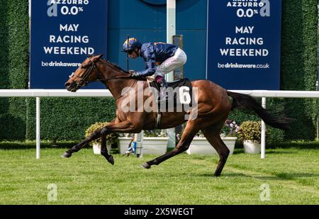 Ascot, Vereinigtes Königreich. Samstag, 11. Mai 2024. Warda Jamila und Oisin Murphy gewinnen die Handicap-Stakes der Mariner Systems Fillies für Trainer Andrew Balding und Eigentümer Sultan Ali. Credit JTW equine Images / Alamy Live News Stockfoto