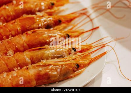 Frisch orange gekochte Königshrimps auf einem weißen Teller auf einem Tisch. Ganze, gekochte, köstliche Meeresfrüchte werden im Restaurant serviert. Große Garnelen mit langem Schnurrbart. Stockfoto