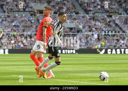 St. James's Park, Newcastle am Samstag, den 11. Mai 2024. Miguel Almirón von Newcastle United sucht nach dem Foul von Jakub Moder von Brighton & Hove Albion während des Premier League-Spiels zwischen Newcastle United und Brighton und Hove Albion im St. James's Park, Newcastle am Samstag, den 11. Mai 2024. (Foto: Scott Llewellyn | MI News) Credit: MI News & Sport /Alamy Live News Stockfoto