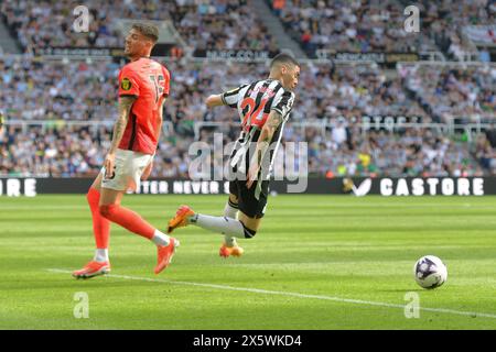 St. James's Park, Newcastle am Samstag, den 11. Mai 2024. Miguel Almirón von Newcastle United sucht nach dem Foul von Jakub Moder von Brighton & Hove Albion während des Premier League-Spiels zwischen Newcastle United und Brighton und Hove Albion im St. James's Park, Newcastle am Samstag, den 11. Mai 2024. (Foto: Scott Llewellyn | MI News) Credit: MI News & Sport /Alamy Live News Stockfoto