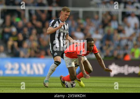 St. James's Park, Newcastle am Samstag, den 11. Mai 2024. Emil Krafth von Newcastle United will den Ball von Brighton & Hove Albions Danny Welbeck beim Premier League-Spiel zwischen Newcastle United und Brighton und Hove Albion am Samstag, den 11. Mai 2024, im St. James's Park in Newcastle gewinnen. (Foto: Scott Llewellyn | MI News) Credit: MI News & Sport /Alamy Live News Stockfoto