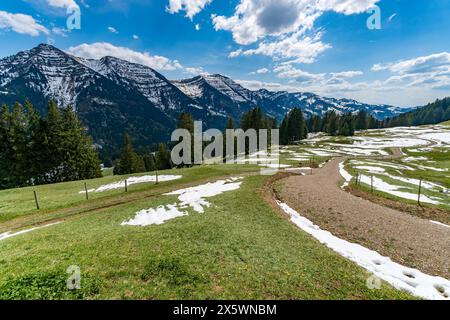Wunderschöner Rundwanderweg zum Denneberg an der Nagelfluhkette im Allgau bei Oberstaufen Steibis Stockfoto