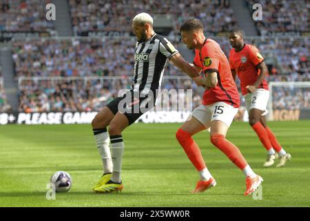 St. James's Park, Newcastle am Samstag, den 11. Mai 2024. Newcastle United's Joelinton hält Brighton & Hove Albions Jakub Moder während des Premier League-Spiels zwischen Newcastle United und Brighton und Hove Albion im St. James's Park, Newcastle am Samstag, den 11. Mai 2024, aus. (Foto: Scott Llewellyn | MI News) Credit: MI News & Sport /Alamy Live News Stockfoto