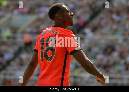 St. James's Park, Newcastle am Samstag, den 11. Mai 2024. Brighton & Hove Albion's Danny Welbeck während des Premier League-Spiels zwischen Newcastle United und Brighton und Hove Albion im St. James's Park, Newcastle am Samstag, den 11. Mai 2024. (Foto: Scott Llewellyn | MI News) Credit: MI News & Sport /Alamy Live News Stockfoto