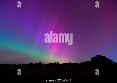 Ein seltener G5-Solarsturm macht die Nordlichter in Südengland sichtbar, die hier am Himmel des New Forest Hampshire England zu sehen sind. Stockfoto