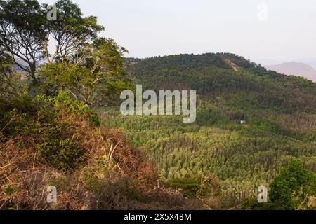 Malerischer Blick auf die Landschaft der Ebenen und der Stadt salem von einem Pagode Punkt in Yercaud, Tamil Nadu Stockfoto