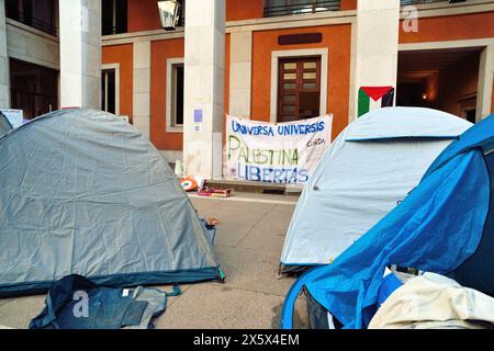 Padua, Italien, 11. Mai 2024. Künstler für Frieden. Mehrere paduanische Künstler treten in einer Straßenshow auf, um die Bürger gegen den Krieg zu sensibilisieren. Die Performances finden vor dem Rathaus und dem Universitätssitz statt, dessen Innenhof von Studentenzelten besetzt ist, um gegen den Völkermord in Gaza zu protestieren. Credits : Ferdinando Piezzi/Alamy Live News Stockfoto