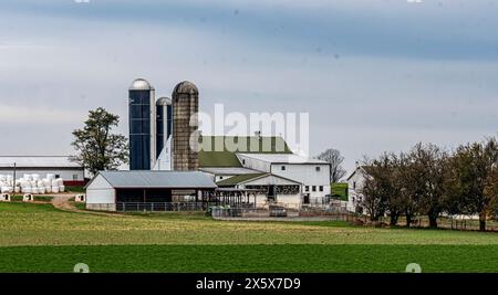 Ein detaillierter Blick auf eine moderne Milchfarm mit großen Silos und mehreren Scheunen umgeben von üppigen grünen Weiden unter bewölktem Himmel, was die landwirtschaftliche Effizienz unterstreicht. Stockfoto