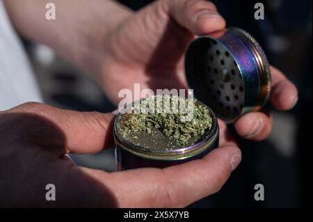 Madrid, Spanien. Mai 2024. Ein Mann, der während des globalen Marihuana-Marsches einen Cannabis-Joint vorbereitet. Menschen marschieren durch das Stadtzentrum, um ein Gesetz für die Legalisierung von Cannabis zu fordern. Der globale Marihuana-Marsch findet jedes Jahr Anfang Mai in vielen Städten auf der ganzen Welt statt. Quelle: Marcos del Mazo/Alamy Live News Stockfoto