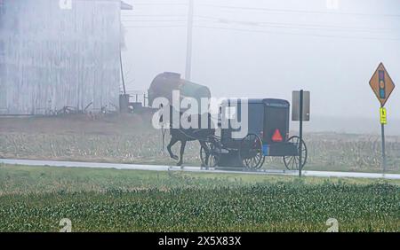 Ein Pferd und ein Buggy fahren im Regen eine Straße hinunter. Die Straße ist nass und der Himmel ist bewölkt Stockfoto