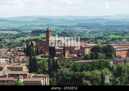 Ein wunderschöner Blick auf den traditionellen Architekten in Siena, Toskana. An einem sonnigen Tag mit trübem hellen Himmel und Blick über die sanften grünen Hügel. Stockfoto