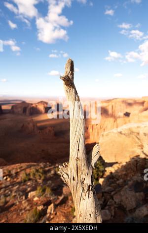 Malerischer Blick auf die prächtigen Buttes im Monument Valley an einem hellen, lebhaften Frühlingstag. Stockfoto