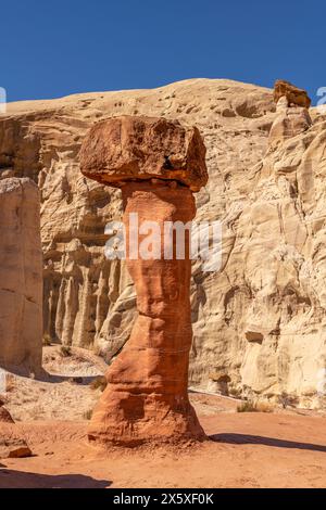 Weißer und roter Sandstein-Krötenhocker-Hoodoo in Kanab Utah mit stark erodierten Türmen und ausgewogenem, härterem Fels auf der Spitze, umrahmt von einem blauen Himmel. Stockfoto