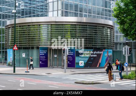 Saint Josse, Hauptstadt Brüssel, Belgien, 9. Mai 2024 - Hauptsitz der Telekommunikationsunternehmen Proximus und Belgacom Stockfoto