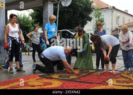 Caminha, Portugal - 08. Juni 2023: Gruppe lokaler Handwerker, die im Rahmen der jährlichen religiösen Fronleichnamsfeier einen „floralen Teppich“ erstellen Stockfoto