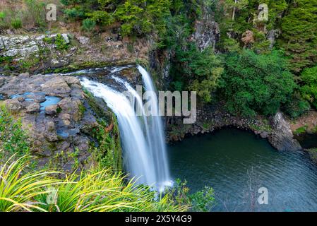 Whangarei Falls – Neuseeland Stockfoto