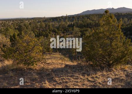 Ein malerischer Blick auf den Sonnenuntergang der Jemez Mountains vom Bandelier National Monument in New Mexico. Stockfoto