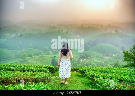 Asiatisches Reisemädchen, das den wunderschönen Sonnenaufgang auf dem Teehügel in Long Coc, Phu Tho, Vietnam beobachtet Stockfoto