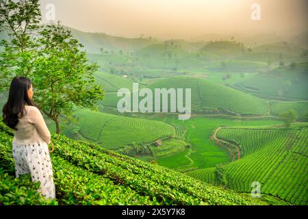 Asiatisches Reisemädchen, das den wunderschönen Sonnenaufgang auf dem Teehügel in Long Coc, Phu Tho, Vietnam beobachtet Stockfoto