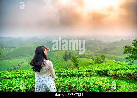 Asiatisches Reisemädchen, das den wunderschönen Sonnenaufgang auf dem Teehügel in Long Coc, Phu Tho, Vietnam beobachtet Stockfoto