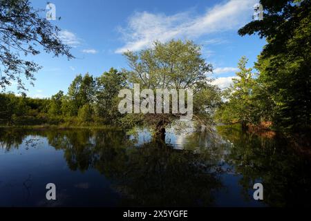 Der Plastiras-See, der sich in der größeren Gegend von Agrafa (Region Thessalien) befindet, ist von einer idyllischen Landschaft von unvergleichlicher natürlicher Schönheit umgeben, die den Höhepunkt erreicht Stockfoto