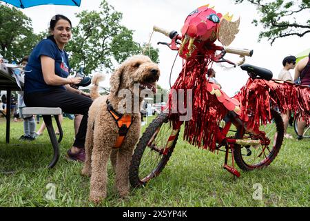 Houston, USA. Mai 2024. Beim 3. Art Bike Parade & Festival in Houston, Texas, USA, am 11. Mai 2024 steht ein Hund neben einem Kunstfahrrad. Die jährliche Veranstaltung zog Hunderte von Menschen an, um ihre Kreativität bei der Entwicklung von Fahrrädern zu demonstrieren und verschiedene Aktivitäten zu genießen. Quelle: Chen Chen/Xinhua/Alamy Live News Stockfoto