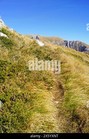 Wandern Sie entlang des Mount Sedlena Greda, der sich im Durmitor-Nationalpark befindet - Wandern Sie im Norden Montenegros Stockfoto