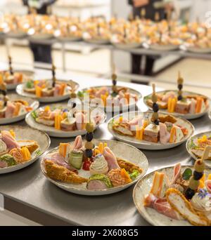 Verschiedene Gourmet-Vorspeisen, die wunderschön auf Tellern bei einem professionellen Catering-Service angeordnet sind Stockfoto