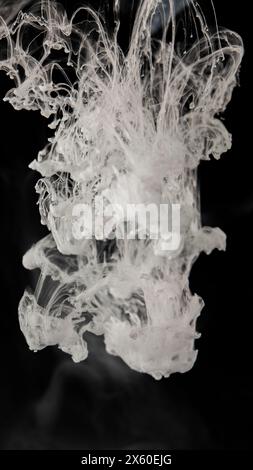 Bunte Regenbogenfarben von oben, die sich in Wasser mischen. Tinte wirbelt unter Wasser. Tintenwolke isoliert auf schwarzem Hintergrund. Farbiger abstrakter Rauch Stockfoto