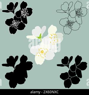 Blühende Jasmin Blumen Set. Philadelphus jungfräulich, Frühlings-Jasminzweig-Umriss, Silhouette, Schablone, Farbe und schwarz-weiße Vektor-Illustration. Stock Vektor