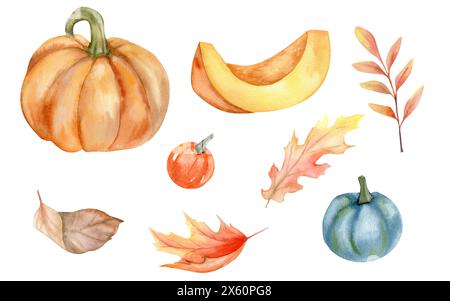 Herbstblumenelemente großes orangefarbenes Kürbis, Scheibe, bunte Blätter und dekorative kleine Kürbisse Aquarellset. Kuschelige Herbstkollektion für ha Stockfoto