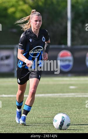 Aalter, Belgien. Mai 2024. Lyndsey Van Belle (99) von Club YLA, das während eines Frauenfußballspiels zwischen Club Brugge Dames YLA und KRC Genk Ladies am 8. Spieltag in Play-off 1 der Saison 2023 - 2024 der belgischen Lotto Womens Super League am Samstag, den 11. Mai 2024 in Aalter, abgebildet wurde. BELGIEN . Quelle: Sportpix/Alamy Live News Stockfoto
