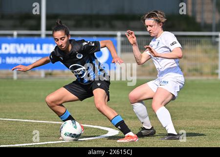 Aalter, Belgien. Mai 2024. Rania Boutiebi (11) von Club YLA und Gwyneth Vanaenrode (5) von Genk, die während eines Frauenfußballspiels zwischen Club Brugge Dames YLA und KRC Genk Ladies am 8. Spieltag in Play-off 1 der Saison 2023 - 2024 der Belgischen Lotto Womens Super League gezeigt wurden, am Samstag, 11. Mai 2024 in Aalter, BELGIEN. Quelle: Sportpix/Alamy Live News Stockfoto