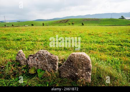 Panorama der grünen Weidewiesen auf dem Hochplateau Asiago in der Provinz Vicenza in Veneto Italien Stockfoto