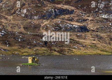 MacLeod's Tower in Loch Tangasdale auf der äußeren Hebrideninsel Barra. Stockfoto