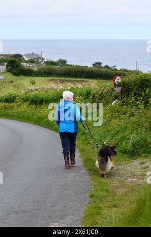 Lady Walking Dog hinunter in Port Issac Cornwall mit dem Meer im Hintergrund. Stockfoto