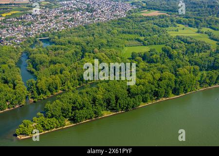 Luftbild, Fluss Rhein und Fluss Sieg mit Siegmündung und Waldgebiet Siegaue, Diescholl Altarm der Sieg und Waldgebiet, Ortsansicht Mondorf und Bergheim, Schwarzrheindorf, Bonn, Nordrhein-Westfalen, Deutschland ACHTUNGxMINDESTHONORARx60xEURO *** Luftansicht, Rhein und Sieg mit Siegmündung und Waldgebiet Siegaue, Diescholl alter Arm des Sieg und Waldgebiets, Ansicht von Mondorf und Bergheim, Schwarzrheindorf, Bonn, Nordrhein-Westfalen, Deutschland ACHTUNGxMINDESTHONORARx60xEURO Stockfoto