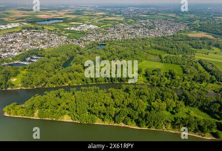 Luftbild, Fluss Rhein und Fluss Sieg mit Siegmündung und Waldgebiet Siegaue, Diescholl Altarm der Sieg und Waldgebiet, Ortsansicht Mondorf und Bergheim, Schwarzrheindorf, Bonn, Nordrhein-Westfalen, Deutschland ACHTUNGxMINDESTHONORARx60xEURO *** Luftansicht, Rhein und Sieg mit Siegmündung und Waldgebiet Siegaue, Diescholl alter Arm des Sieg und Waldgebiets, Ansicht von Mondorf und Bergheim, Schwarzrheindorf, Bonn, Nordrhein-Westfalen, Deutschland ACHTUNGxMINDESTHONORARx60xEURO Stockfoto