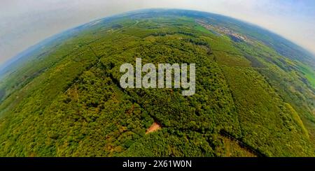 AUFZEICHNUNGSDATUM NICHT ANGEGEBEN Luftbild, Waldgebiet Kottenforst, nahe Wohnsiedlung Villeprott, Naturschutzgebiet Waldville, Erdkugel, Fischaugen Aufnahme, Fischaugen Aufnahme, 360 Grad Aufnahme, Tiny World, Little Planet, Fisheye Bild, Röttgen, Bonn, Nordrhein-Westfalen, Deutschland ACHTUNGxMINDESTHONORARx60xEURO *** Luftaufnahme, Waldgebiet Kottenforst, nahe Wohngut Villeprott, Naturpark Waldville, Erdkugel, Fisheye Bild, 360 Grad Bild, winzige Welt, kleiner Planet, Fischaugenbild, Röttgen, Bonn, Nordrhein-Westfalen, Deutschland ACHTUNGxMINDESTHONORARx60xEURO Stockfoto